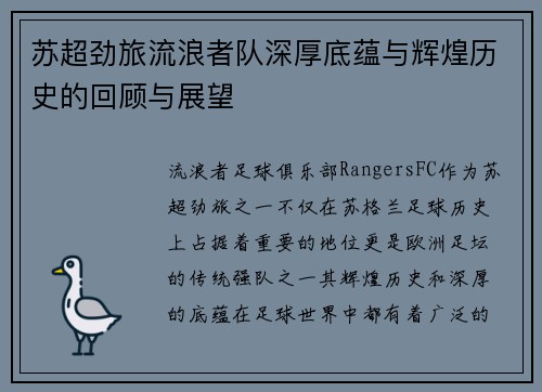 苏超劲旅流浪者队深厚底蕴与辉煌历史的回顾与展望